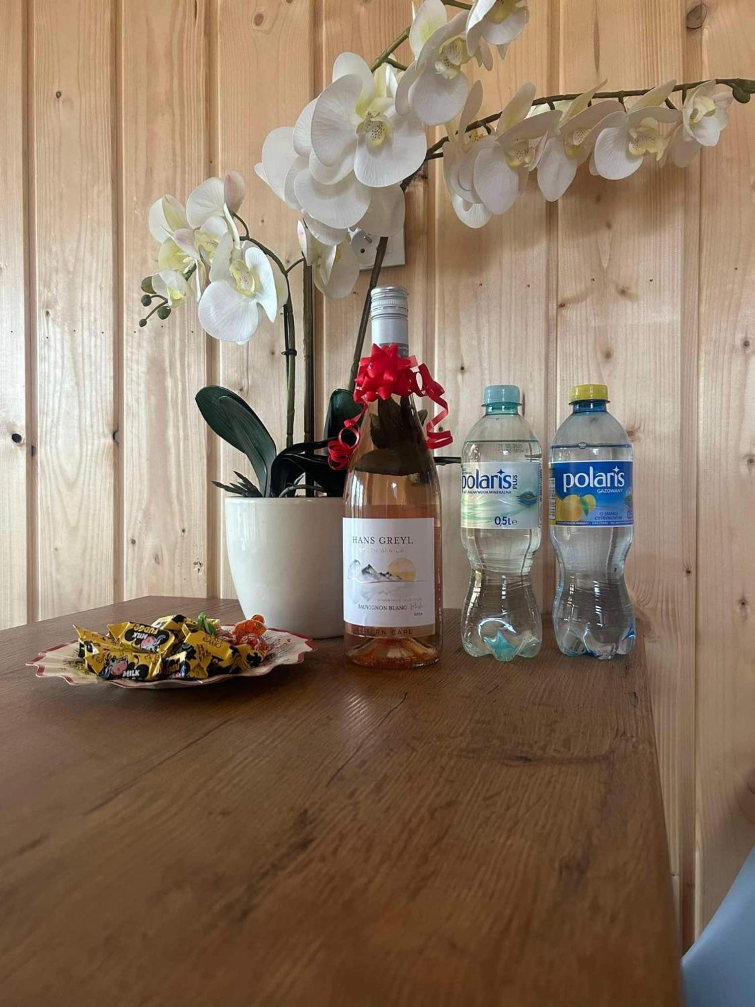 Zacisze Obok Suntago Park Hotel Grabce-Towarzystwo Екстериор снимка
